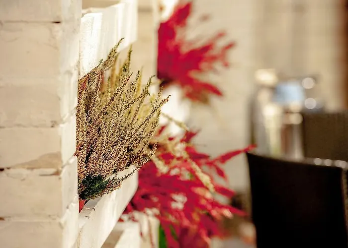 Plaza Boutique 4* Kraków