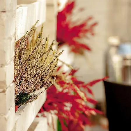 Plaza Boutique 4* Krakau